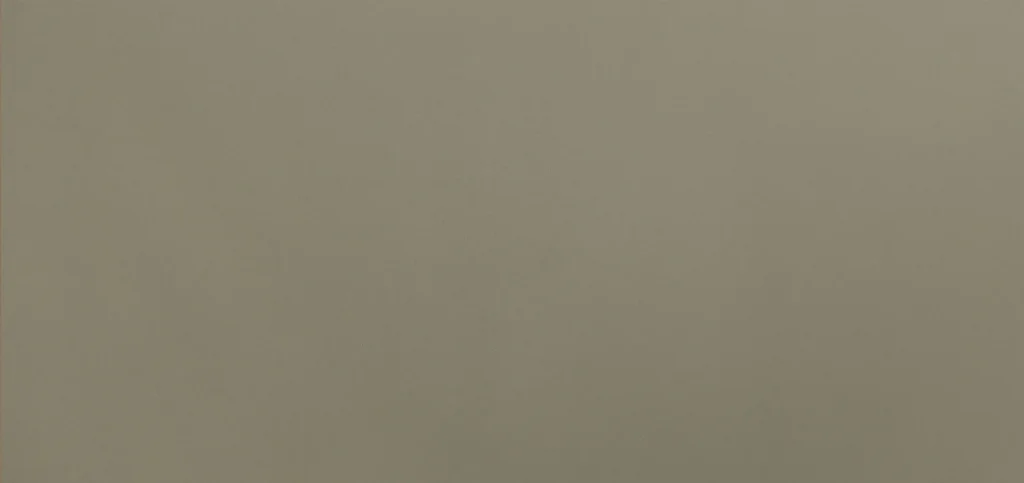 Mẫu đá VICOSTONE BS183 — ảnh 2